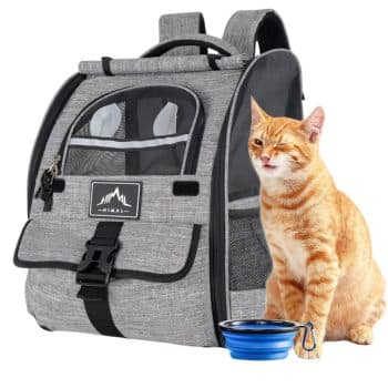 A ginger cat sits next to a gray pet backpack with mesh windows. In front of the cat is a blue collapsible bowl. The backpack has black straps and a front pocket.