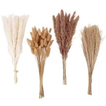 Four bunches of dried grasses arranged side by side: white pampas, brown bunny tails, beige pampas, and tan wheat stalks, each tied with twine.