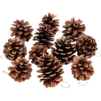 Ten pine cones are arranged in a cluster. Each pine cone has a small loop attached, suggesting they are decorations, possibly for hanging. The cones are various sizes and have a natural brown color with slight variations in texture.