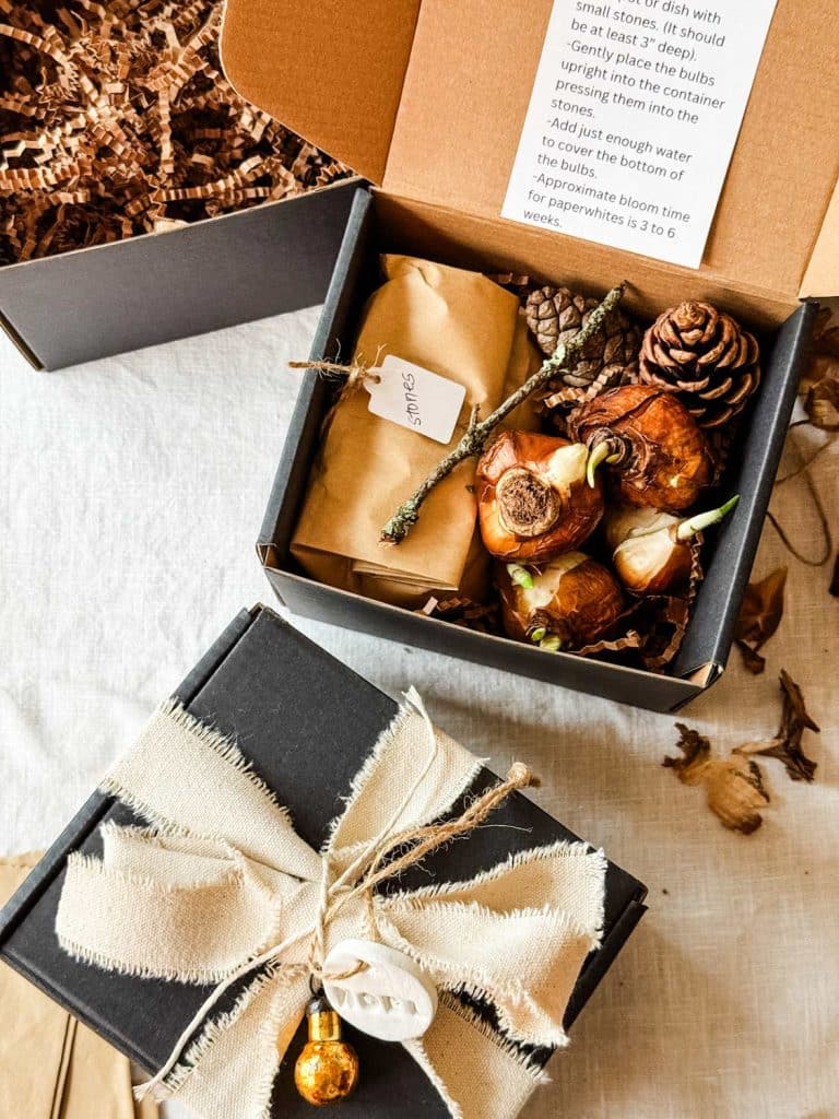 A gift box filled with dried bulbs, pinecones, and small branches sits on a white tablecloth. An envelope labeled "sprouts" is included, along with planting instructions. Nearby, another box adorned with a bow and ornament awaits alongside snowglobe cookies for a perfect holiday touch.