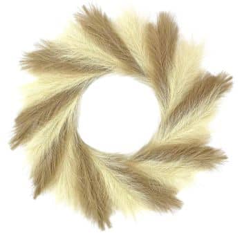 A circular arrangement of beige and light brown pampas grass plumes fanned out symmetrically forms a beautiful seasonal wreath against a white background.