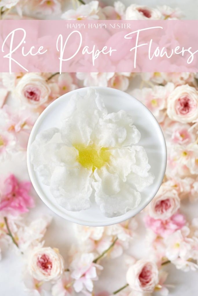 A delicate white rice paper flower with a yellow center graces a round plate, surrounded by pink and cream blossoms. The words "Rice Paper Flowers" appear in elegant script above, reminiscent of artfully crafted fried rice paper flowers.