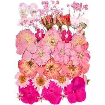 A vibrant assortment of pressed flowers in shades of pink and orange, featuring roses, daisies, and other blooms arranged in a dense, layered pattern—a true masterpiece for pink crafts enthusiasts.