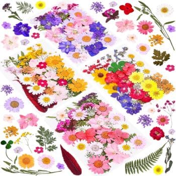 A variety of colorful dried flowers, including daisies, roses, and others, arranged in a scattered pattern on a white background. The flowers are in shades of pink, yellow, red, purple, and blue with green leaves interspersed—perfect for crafting my favorite spring projects.