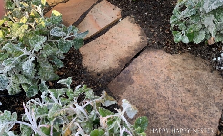 Stone pathway bordered by frosted, leafy plants in a garden setting. The stones are irregularly shaped with earthy tones. The sun casts a light shadow, highlighting the texture of the leaves and stones. Text in the lower right corner reads "Happy Happy Nester.