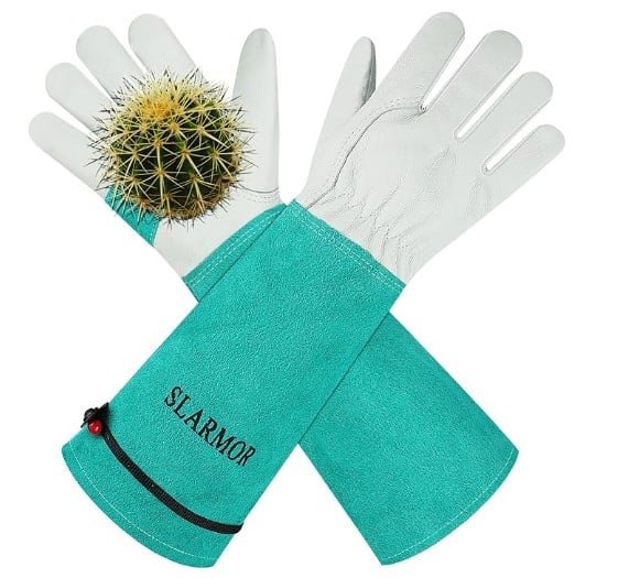 A pair of teal and white gardening gloves with long cuffs is displayed. One glove lies on top of the other, and a small round cactus sits on the palm of the top glove. The gloves have "SLARMOR" printed on them.