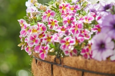 A hanging basket filled with vibrant pink, white, and purple flowers features a charming beaded heart and beaded garden stakes DIY decorations nestled among the blooms. The background is blurred greenery.