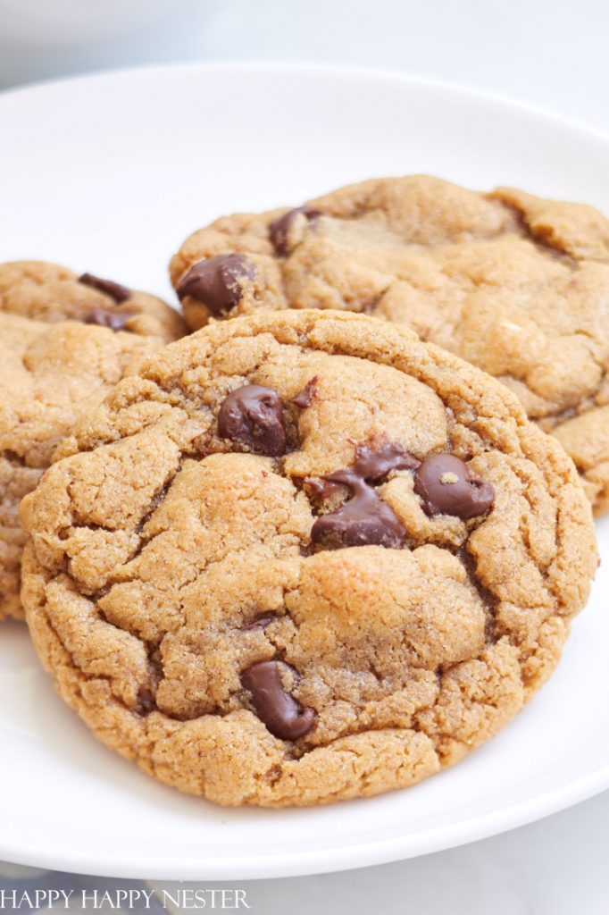Close-up of three chocolate chip cookies on a white plate, showing a soft and slightly chewy texture with visible chocolate chunks—these favorite summer cookies are perfect for any sweet craving.