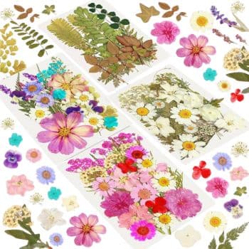 Pressed and dried flowers and leaves of various shapes, sizes, and colors—perfect for my favorite flower crafts—are scattered across a white background, featuring pink, purple, red, and white blooms with fresh green foliage.