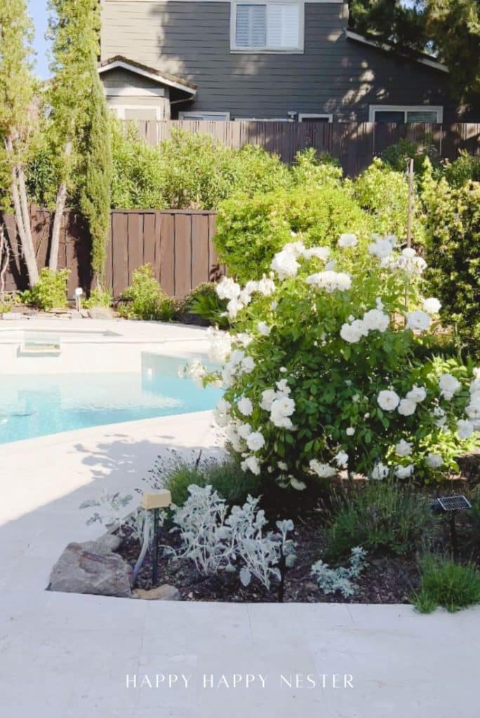 A backyard garden with blooming white flowers—my favorite flower inspiration—and lush greenery next to a swimming pool, with a two-story house and wooden fence in the background. Sunlight brightens the scene. Text reads "HAPPY HAPPY NESTER.