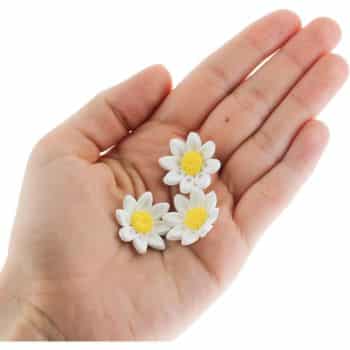 A hand holds three small, white, daisy-like flowers with yellow centers against a plain white background—reminiscent of my favorite floral desserts.