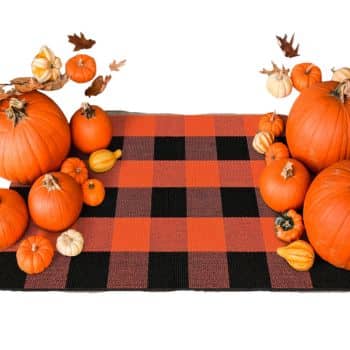 A red and black plaid mat decorated with orange pumpkins, white pumpkins, and small gourds, with a few scattered autumn leaves.