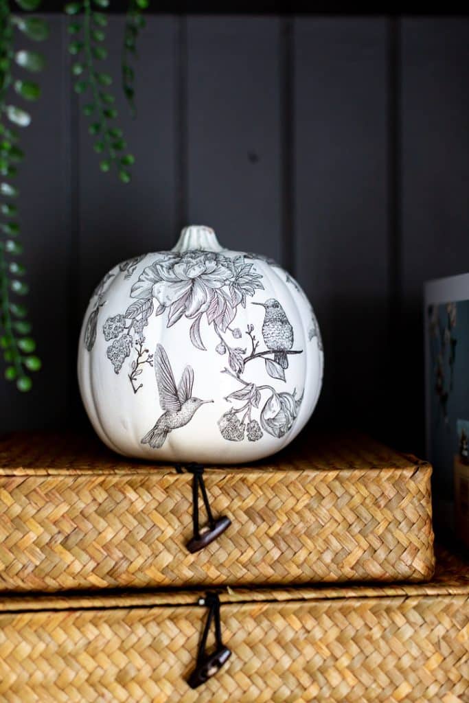 A white pumpkin, perfect for all things pumpkin lovers, is adorned with intricate black-and-white drawings of flowers and hummingbirds. It rests on woven wicker boxes beneath trailing green leaves, with a glimpse of a blue book nearby.