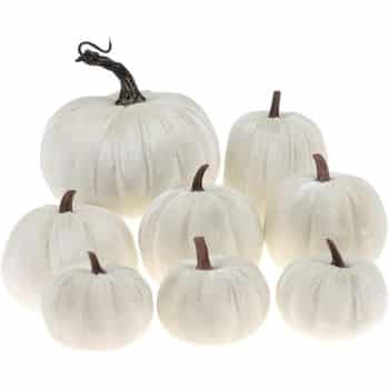 A group of eight white pumpkins of varying sizes, each with a brown stem, arranged together against a plain background—perfect inspiration for white pumpkin crafts.