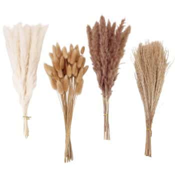 Four bundles of dried grasses and flowers in varying shades of beige and brown, tied with string, arranged side by side against a white background—my favorite Thanksgiving decor for adding warm, rustic charm to any space.