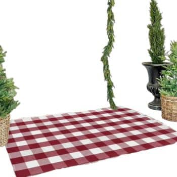 A red and white checkered picnic blanket is laid out with potted green plants and small trees around it. There is a garland of greenery hanging above, creating a festive, outdoor atmosphere.
