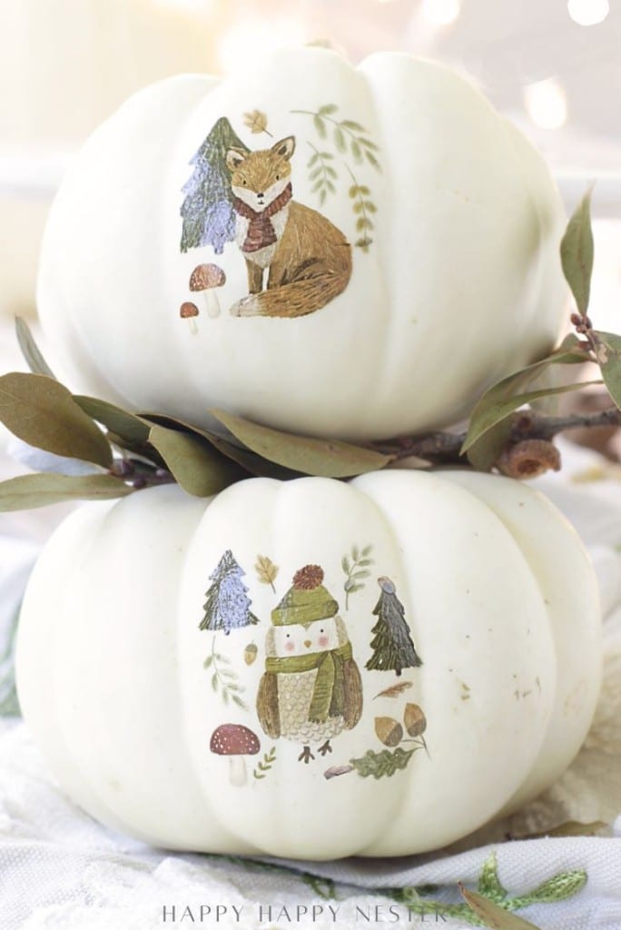 Two white pumpkins are stacked, each decorated with woodland-themed illustrations. The top pumpkin features a fox in a scarf, while the bottom shows an owl in winter clothes, surrounded by trees and mushrooms.