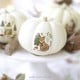 Three white pumpkins with delicate animal illustrations, created using temporary tattoos, sit on a white cake stand surrounded by dried leaves—a perfect example of pumpkin decorating ideas without carving in a soft, light-filled setting.
