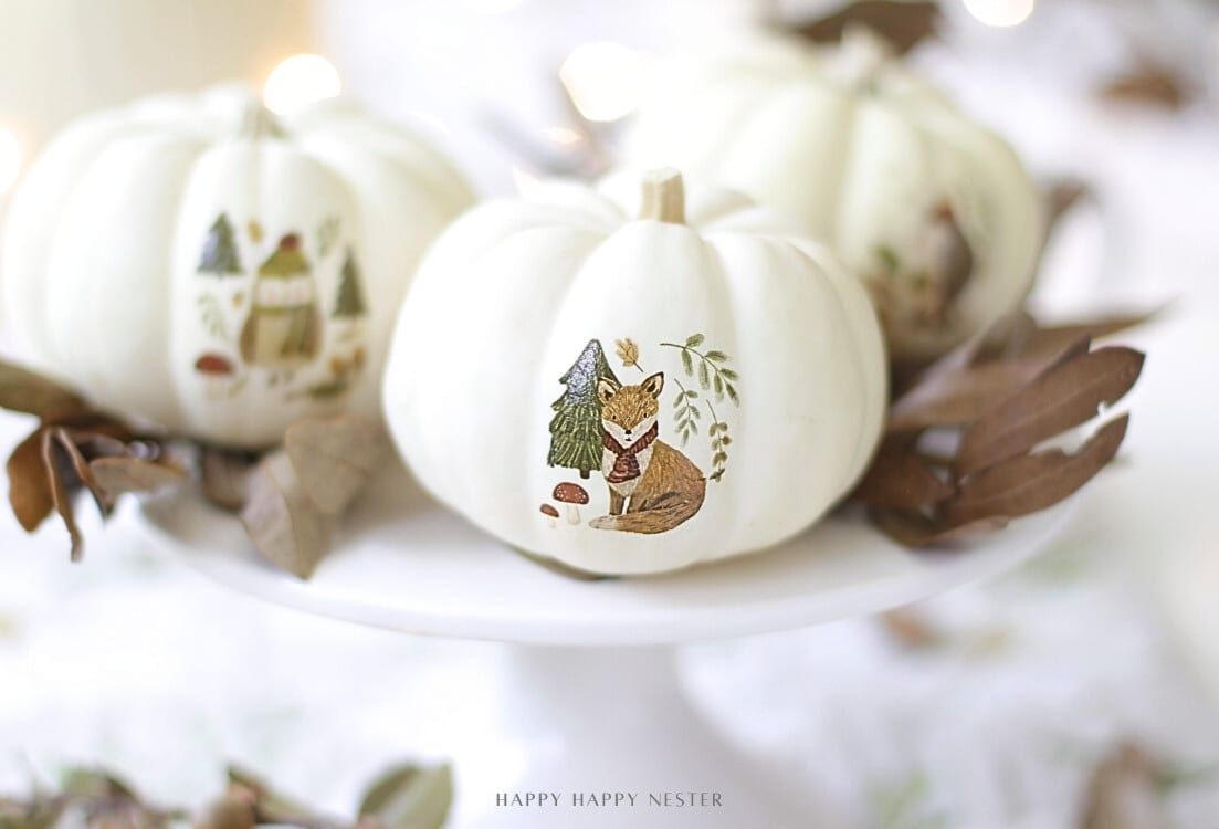 Three white pumpkins with delicate animal illustrations, created using temporary tattoos, sit on a white cake stand surrounded by dried leaves—a perfect example of pumpkin decorating ideas without carving in a soft, light-filled setting.