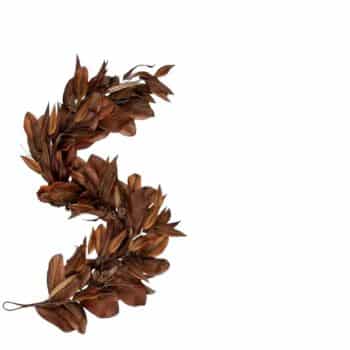 A letter "S" formed from dried brown leaves, arranged in a curved shape on a white background.