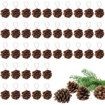 Rows of brown pine cone ornaments with hanging loops are arranged in neat rows on a white background. Three pine cones and green pine branches are displayed in the bottom right corner.