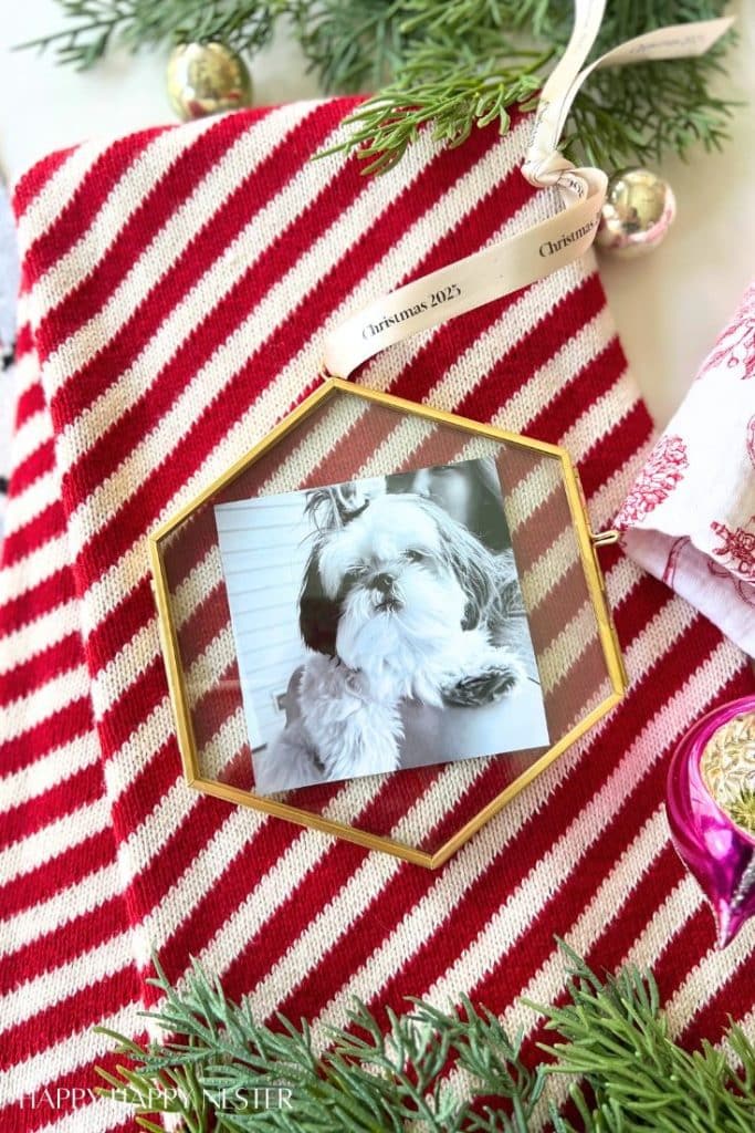 A framed photo of a small dog sits on red and white striped fabric, surrounded by pine branches, ornaments, and a ribbon labeled "Christmas 2023"—a charming display perfect for your Christmas crafts collection.