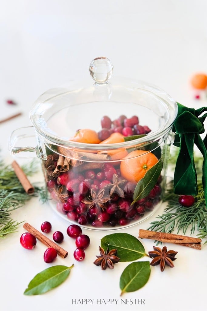 A glass pot filled with cranberries, clementines, cinnamon sticks, and star anise sits on a white surface amidst pine branches, bay leaves, and spices—an elegant example of simmer pot recipes for gifts, with a green velvet ribbon on the handle.