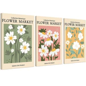 framed artwork from amazon