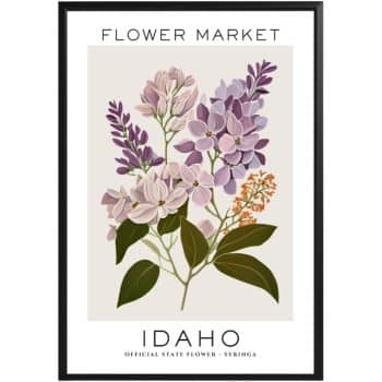 framed artwork from amazon