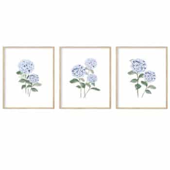 framed artwork from amazon