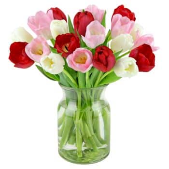 A clear glass vase filled with red, pink, and white tulips with green stems and leaves, arranged in a bouquet.