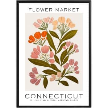 framed artwork from amazon