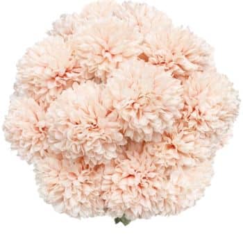 outdoor & indoor faux flowers from amazon