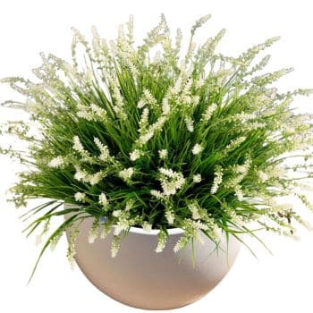 A round white pot filled with dense, green grass-like foliage and numerous small, delicate white flowers, arranged to resemble a lush, decorative plant.