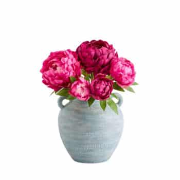 A light blue ceramic vase with two handles holds a bouquet of vibrant pink peonies with green leaves.