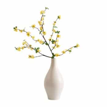 A simple white ceramic vase holds three branches with small yellow flowers and green leaves, arranged against a plain white background.