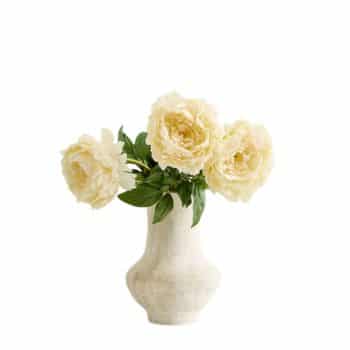 A white ceramic vase holds three large, pale yellow peony flowers with green leaves, set against a plain white background.