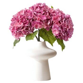 A modern white ceramic vase holds a bouquet of vibrant pink hydrangea flowers with green leaves, set against a plain white background.