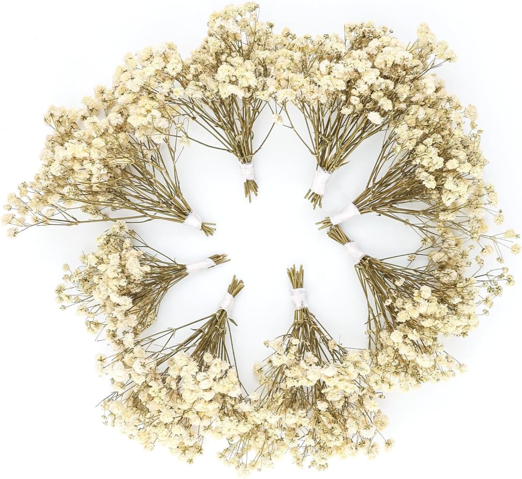 Several small bundles of dried white baby's breath flowers are arranged in a circle on a white background, forming a delicate spring flower wreath with the blooms facing outward and stems gathered at the center.