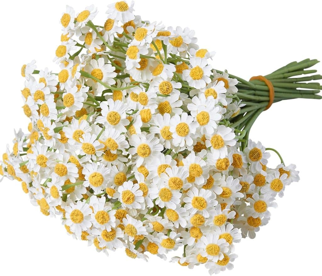 A bouquet of small, white-petaled daisies with yellow centers, bundled together with a rubber band around the green stems, evokes the charm of a spring flower wreath against a crisp white background.
