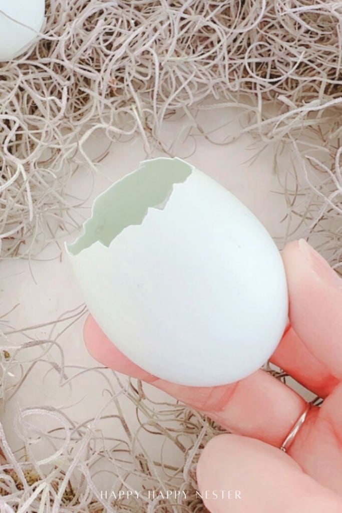A hand holding a white egg with the top cracked open, surrounded by dried, light-colored straw or moss.