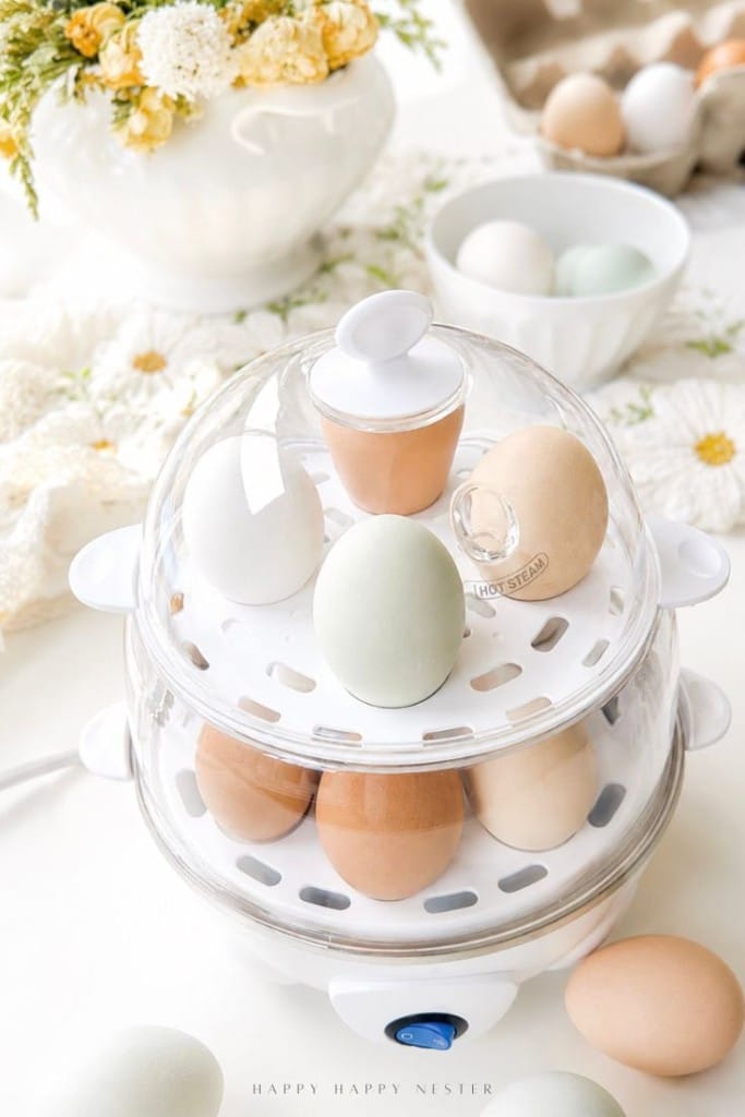 A clear egg cooker holds brown, white, and pastel eggs. More eggs are nearby, with flowers and a bowl in the soft, bright background, creating a fresh kitchen scene.