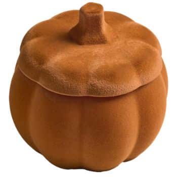 A small, round container shaped like a pumpkin with a textured orange surface and a removable lid resembling the pumpkin’s stem.
