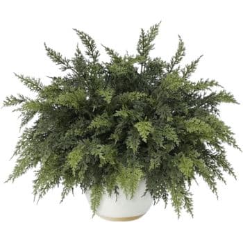 Real-touch artificial cedar branches for Christmas wreaths, garlands, vases, and holiday arrangements.