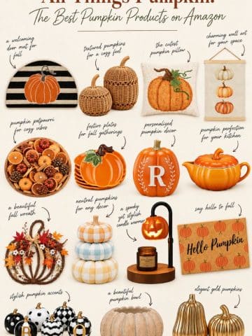 A collage of various pumpkin-themed decor items, including pillows, baskets, wreaths, candles, and ceramic pumpkins, all in autumn colors, displayed with handwritten-style labels describing each product.