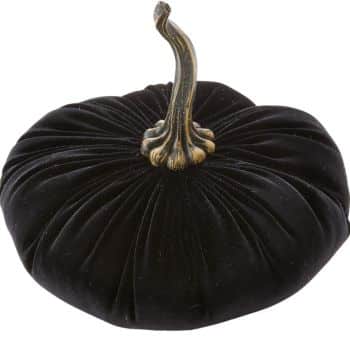 Black velvet fabric pumpkin with long decorative dark stem