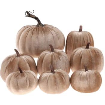 Set of eight champagne beige velvet pumpkins in assorted shapes and sizes with rustic brown stems.