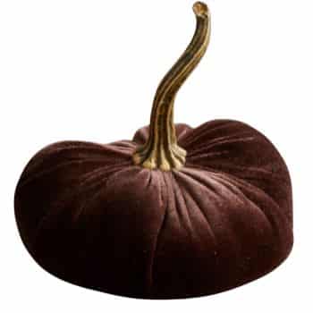 Chocolate brown velvet pumpkin with a long natural-looking stem for elegant fall decorating.