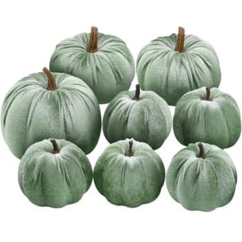 Set of eight sage green velvet pumpkins in assorted sizes with natural brown stems for fall decor.