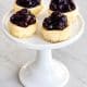 Mini blueberry cheesecakes topped with blueberry pie filling, with one cheesecake displayed in front.